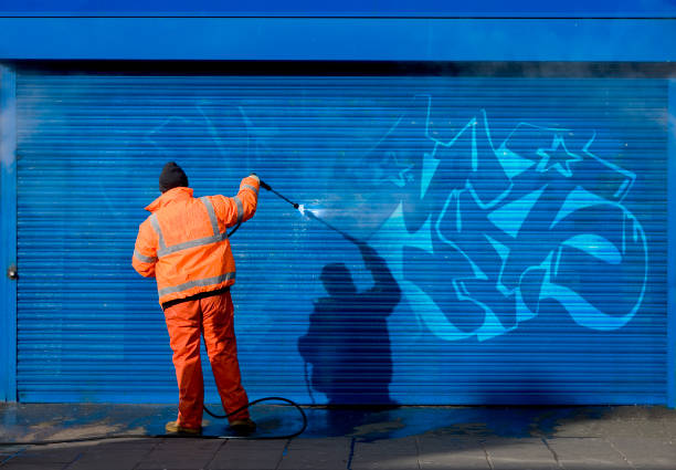 Best Local Pressure Washing Services  in Martinsvle, IL