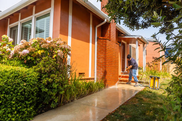 Best Exterior Home Cleaning  in Martinsvle, IL